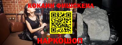 крисы Моздок
