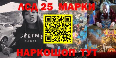 крисы Моздок