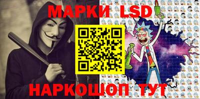 крисы Моздок