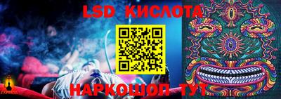 крисы Моздок