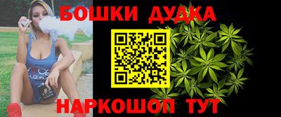 крисы Моздок