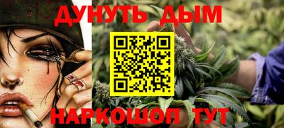 крисы Моздок