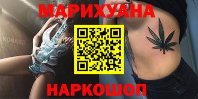 крисы Моздок