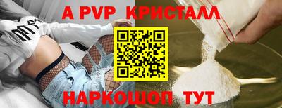 крисы Моздок