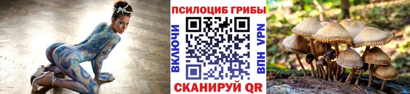 Псилоцибиновые грибы Cubensis Симферополь