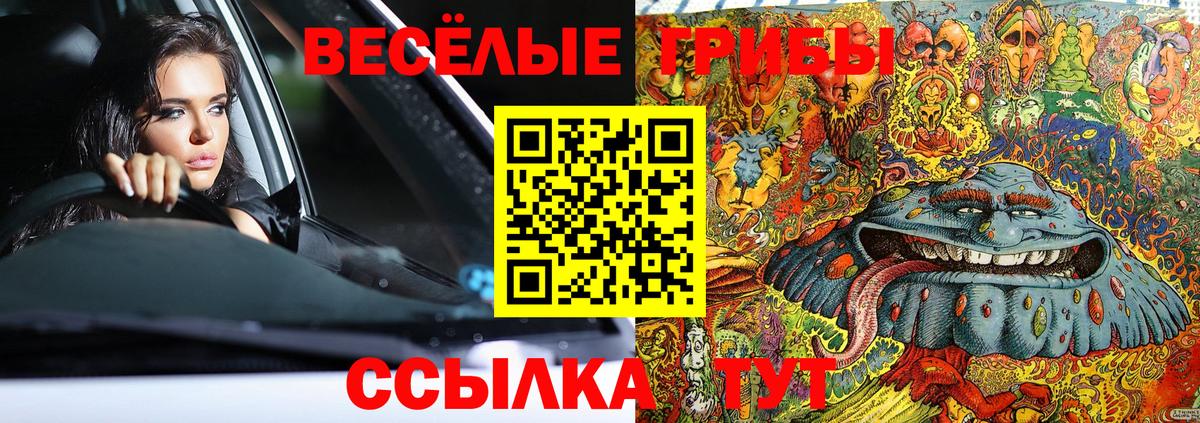 Симферополь  Галлюциногенные грибы мицелий  Вход с VPN 